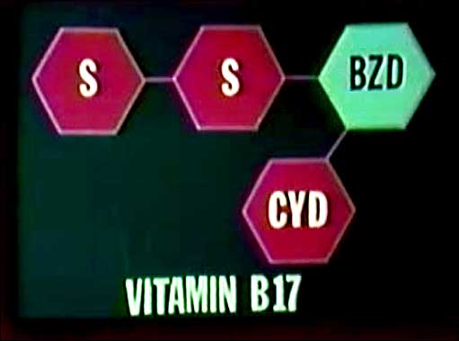 The Nitriloside molocule is made up of Benzaldehyde, Cyanide, and Sugar.