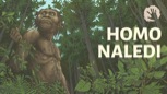 “Homo Naledi - New Questions On Human Evolution”