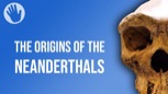 “The Origins of the Neanderthals”