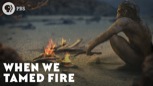 “When We Tamed Fire”